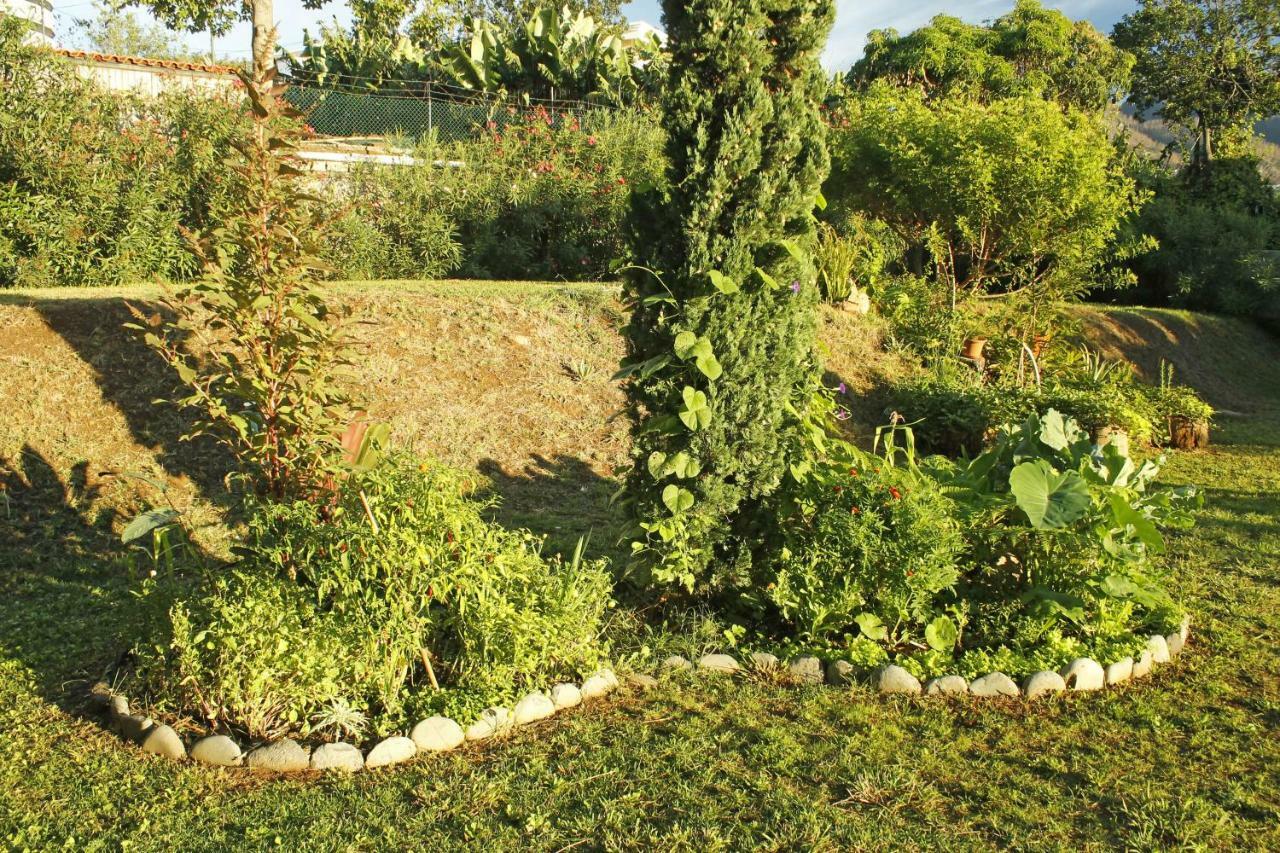 Rochas Shared Apart Garden Refuge Funchal  Esterno foto