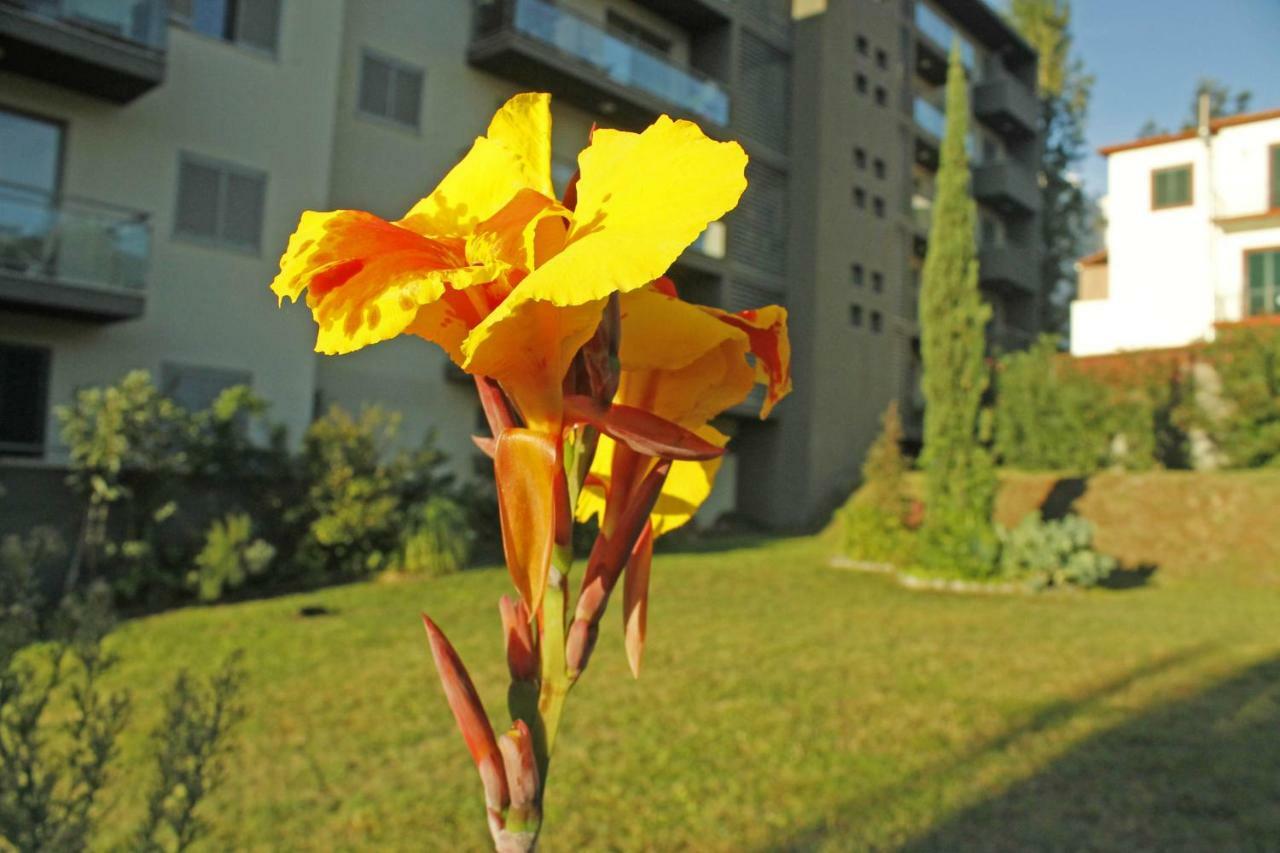 Rochas Shared Apart Garden Refuge Funchal  Esterno foto